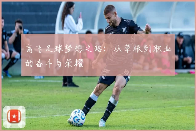 高飞足球梦想之路：从草根到职业的奋斗与荣耀